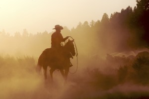 cowboy