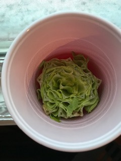 freshly cut lettuce